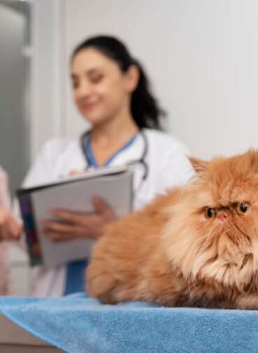 veterinarian-taking-care-pet (1)