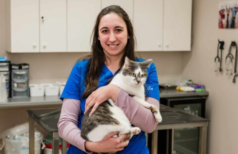 1902-1328-PA0501 1902-1328-PA0501