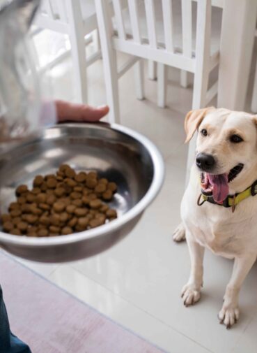 owner-serving-food-bowl-their-pet-dog (1) owner-serving-food-bowl-their-pet-dog (1)